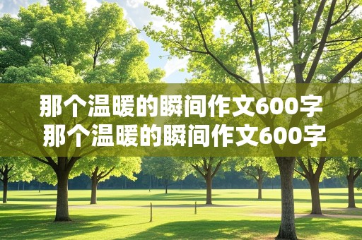 那个温暖的瞬间作文600字 那个温暖的瞬间作文600字初中