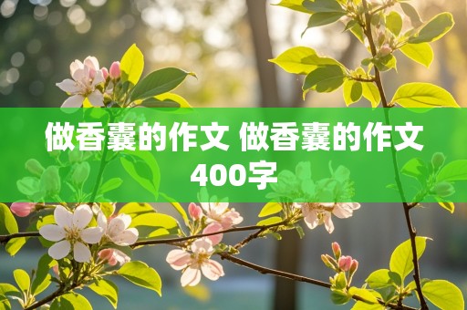 做香囊的作文 做香囊的作文400字