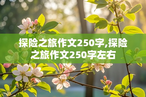 探险之旅作文250字,探险之旅作文250字左右