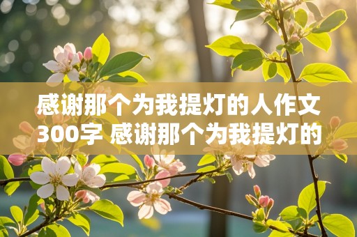 感谢那个为我提灯的人作文300字 感谢那个为我提灯的人作文300字母亲