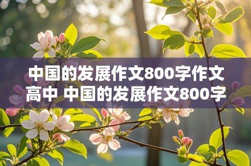 中国的发展作文800字作文高中 中国的发展作文800字作文高中 doc