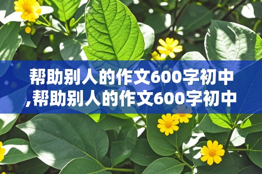 帮助别人的作文600字初中,帮助别人的作文600字初中作文