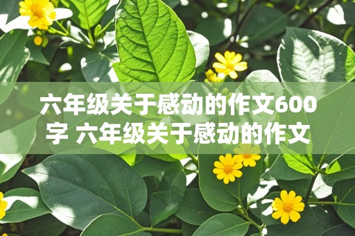 六年级关于感动的作文600字 六年级关于感动的作文600字左右