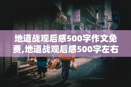 地道战观后感500字作文免费,地道战观后感500字左右作文