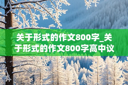 关于形式的作文800字_关于形式的作文800字高中议论文