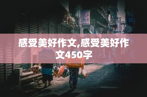 感受美好作文,感受美好作文450字