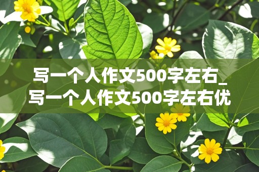 写一个人作文500字左右_写一个人作文500字左右优秀