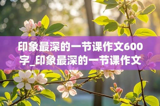 印象最深的一节课作文600字_印象最深的一节课作文600字点面结合