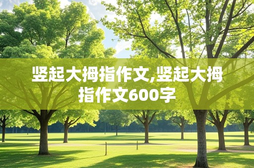 竖起大拇指作文,竖起大拇指作文600字