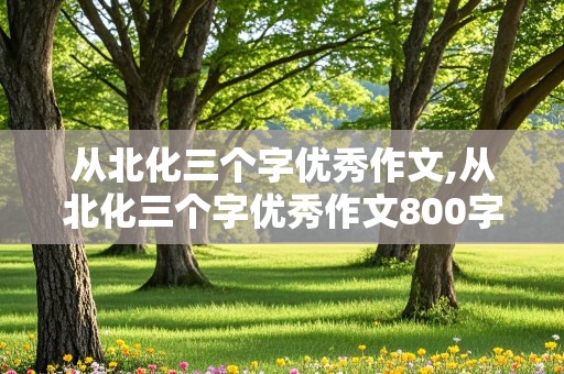 从北化三个字优秀作文,从北化三个字优秀作文800字