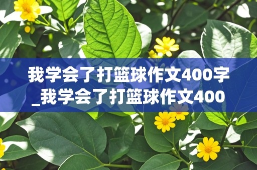 我学会了打篮球作文400字_我学会了打篮球作文400字四年级