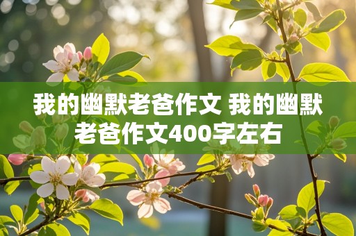 我的幽默老爸作文 我的幽默老爸作文400字左右