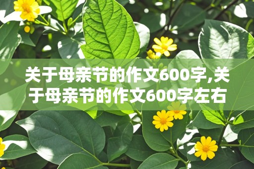 关于母亲节的作文600字,关于母亲节的作文600字左右