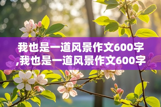 我也是一道风景作文600字,我也是一道风景作文600字初一