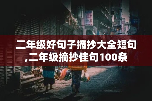 二年级好句子摘抄大全短句,二年级摘抄佳句100条