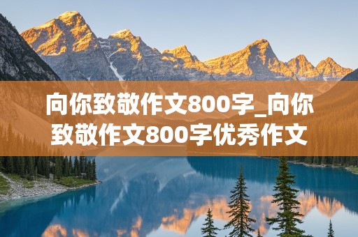 向你致敬作文800字_向你致敬作文800字优秀作文