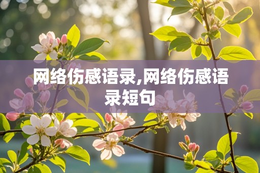 网络伤感语录,网络伤感语录短句