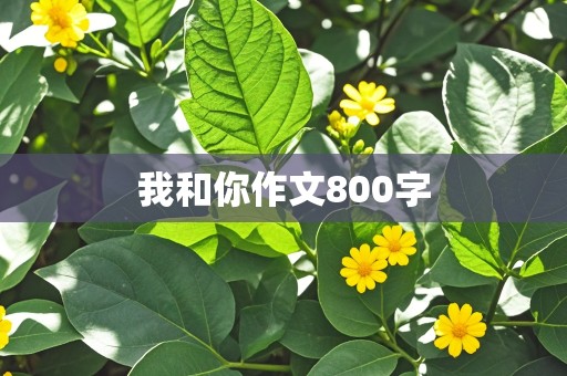 我和你作文800字