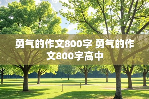 勇气的作文800字 勇气的作文800字高中