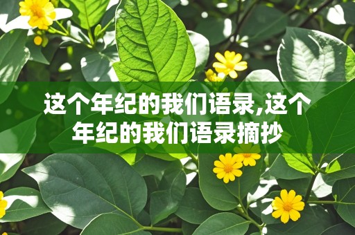 这个年纪的我们语录,这个年纪的我们语录摘抄