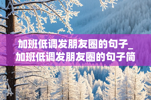 加班低调发朋友圈的句子_加班低调发朋友圈的句子简短