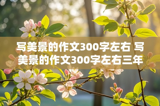 写美景的作文300字左右 写美景的作文300字左右三年级上册