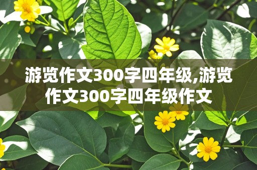 游览作文300字四年级,游览作文300字四年级作文