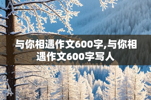 与你相遇作文600字,与你相遇作文600字写人