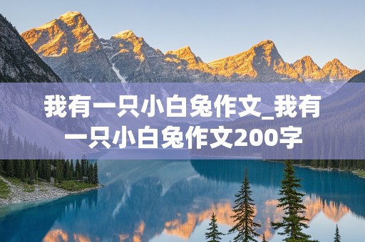 我有一只小白兔作文_我有一只小白兔作文200字