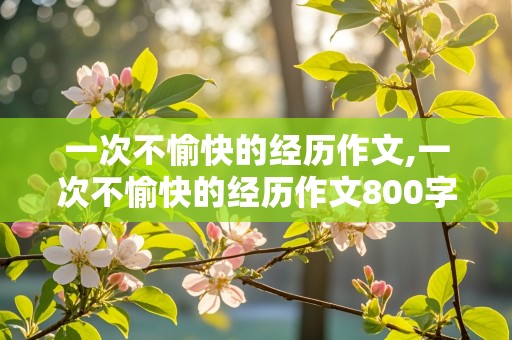 一次不愉快的经历作文,一次不愉快的经历作文800字