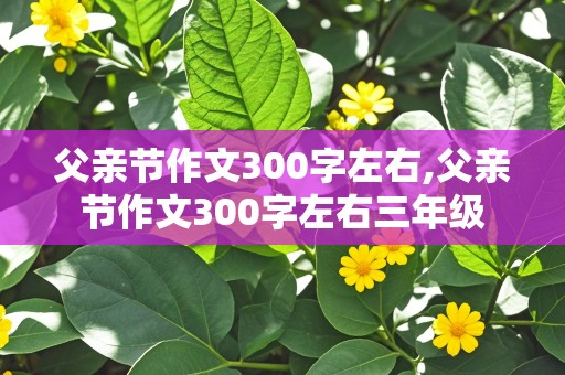 父亲节作文300字左右,父亲节作文300字左右三年级