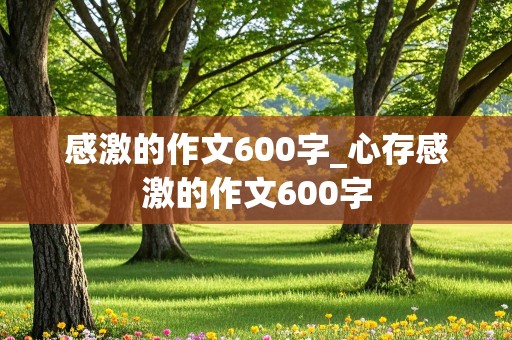 感激的作文600字_心存感激的作文600字