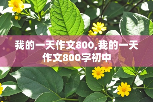 我的一天作文800,我的一天作文800字初中