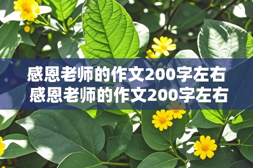 感恩老师的作文200字左右 感恩老师的作文200字左右三年级