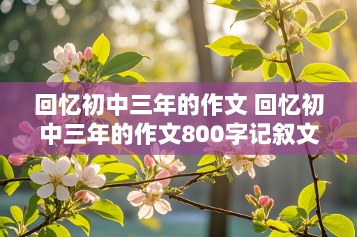 回忆初中三年的作文 回忆初中三年的作文800字记叙文