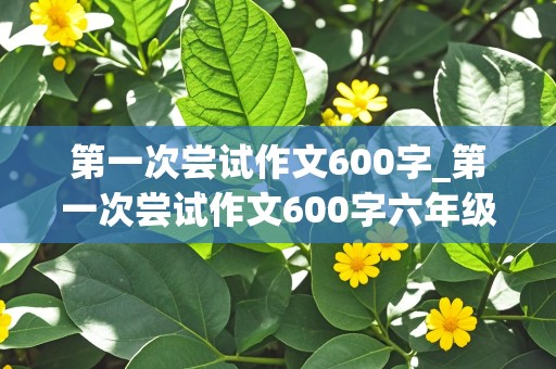 第一次尝试作文600字_第一次尝试作文600字六年级