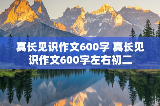 真长见识作文600字 真长见识作文600字左右初二