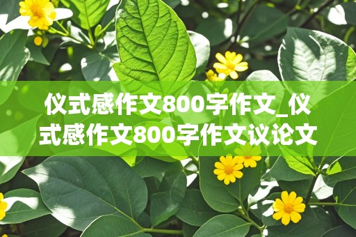 仪式感作文800字作文_仪式感作文800字作文议论文