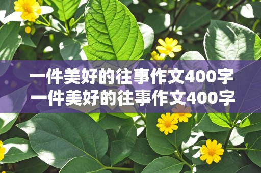 一件美好的往事作文400字 一件美好的往事作文400字作文