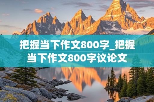 把握当下作文800字_把握当下作文800字议论文