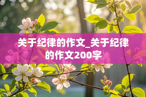 关于纪律的作文_关于纪律的作文200字