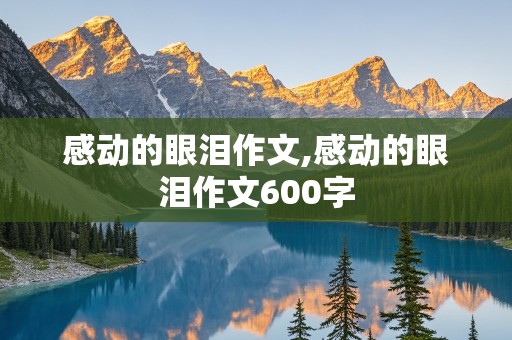 感动的眼泪作文,感动的眼泪作文600字