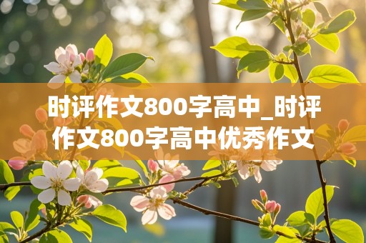 时评作文800字高中_时评作文800字高中优秀作文