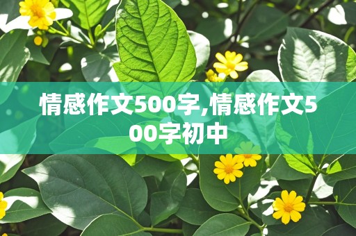 情感作文500字,情感作文500字初中