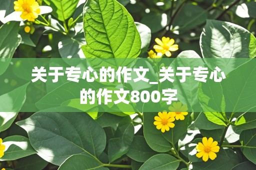 关于专心的作文_关于专心的作文800字