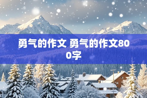 勇气的作文 勇气的作文800字