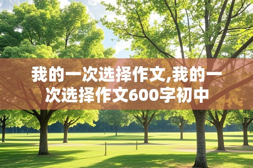 我的一次选择作文,我的一次选择作文600字初中