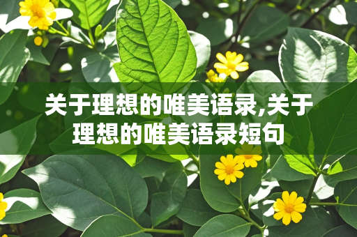 关于理想的唯美语录,关于理想的唯美语录短句