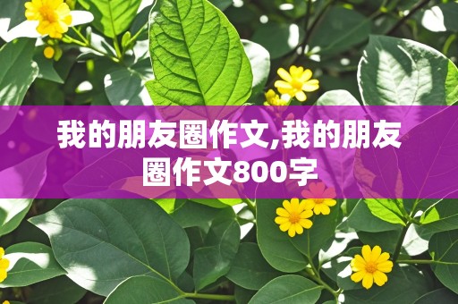 我的朋友圈作文,我的朋友圈作文800字