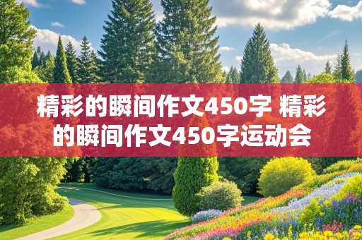 精彩的瞬间作文450字 精彩的瞬间作文450字运动会